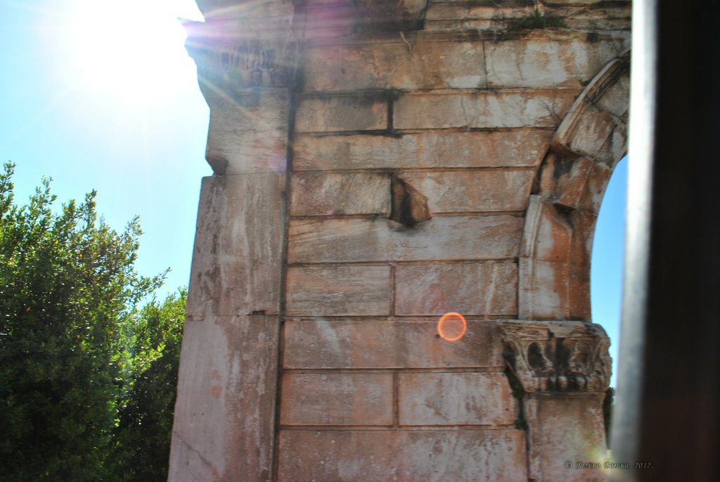 Image 0847_2012-06-11_13-30_D3000.jpg