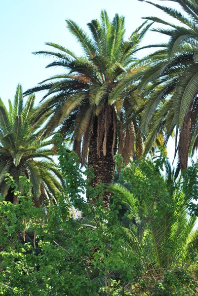 Image 0851_2012-06-11_13-33_D3000.jpg