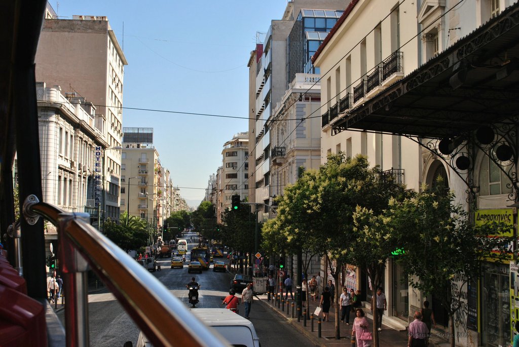 Image 0892_2012-06-11_13-57_D3000.jpg