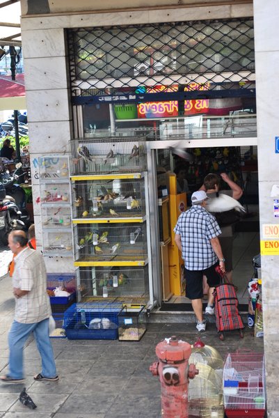 Image 0945_2012-06-11_14-20_D3000.jpg