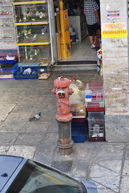 Image 0946_2012-06-11_14-20_D3000.jpg