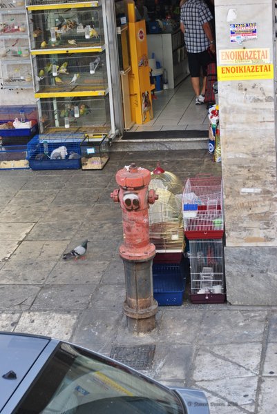 Image 0946_2012-06-11_14-20_D3000.jpg