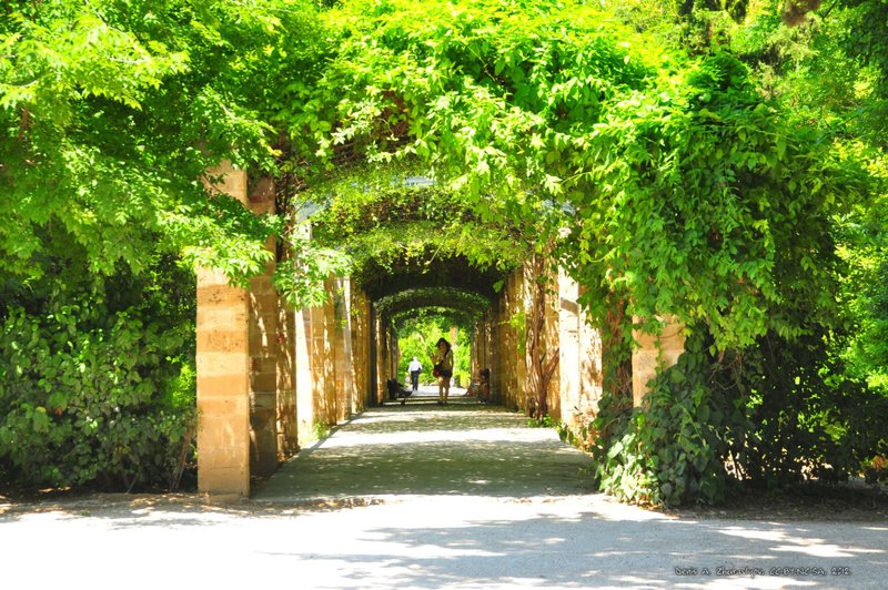 Image 1003_2012-06-11_18-20_D90.jpg