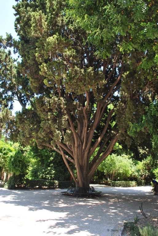 Image 1004_2012-06-11_18-20_D3000.jpg