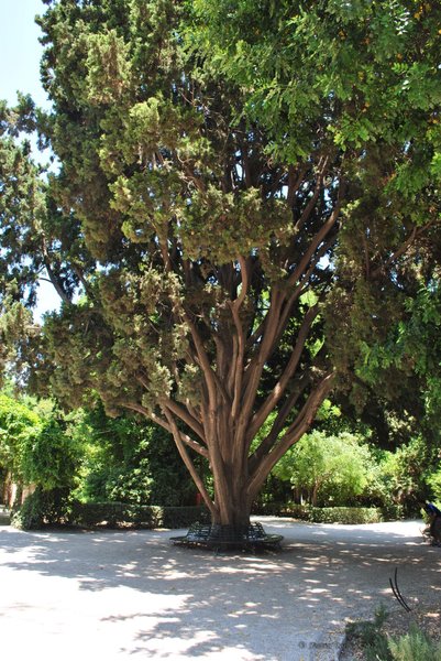 Image 1004_2012-06-11_18-20_D3000.jpg