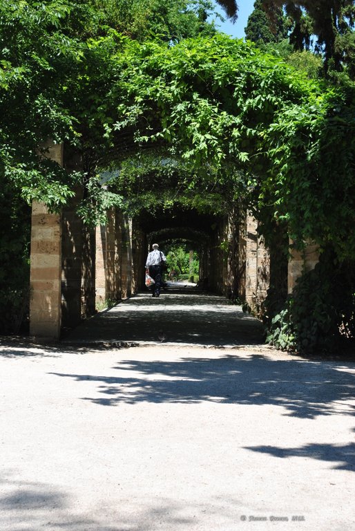 Image 1005_2012-06-11_18-21_D3000.jpg