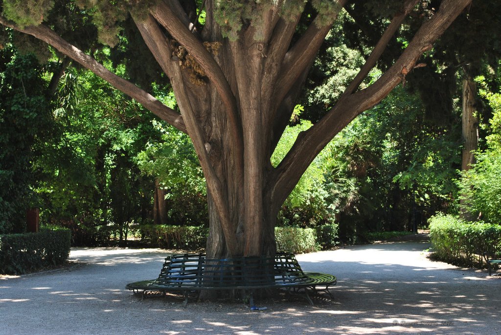 Image 1006_2012-06-11_18-22_D3000.jpg