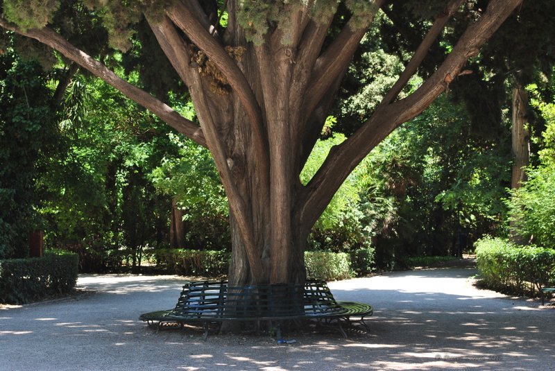 Image 1006_2012-06-11_18-22_D3000.jpg