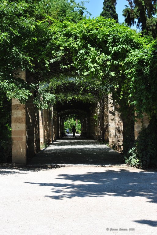 Image 1007_2012-06-11_18-22_D3000.jpg