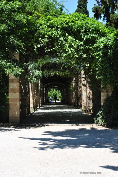 Image 1007_2012-06-11_18-22_D3000.jpg