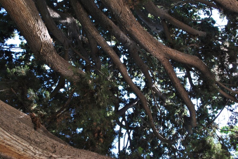 Image 1008_2012-06-11_18-23_D3000.jpg