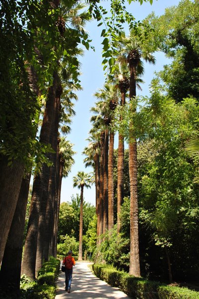 Image 1009_2012-06-11_18-26_D3000.jpg