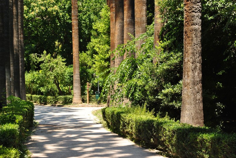 Image 1010_2012-06-11_18-26_D3000.jpg