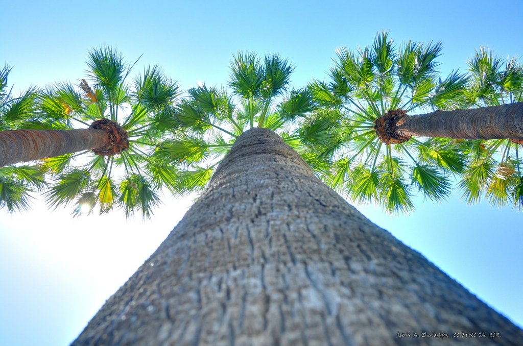 Image 1011_2012-06-11_18-27_D90.jpg