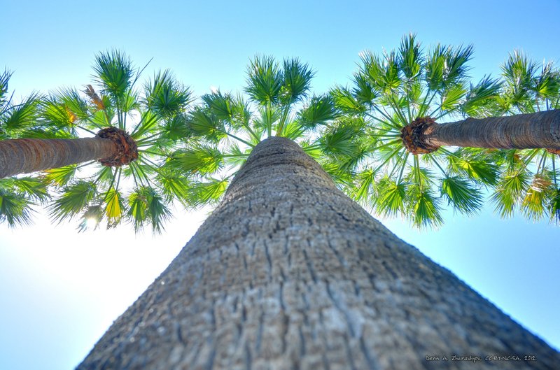 Image 1011_2012-06-11_18-27_D90.jpg