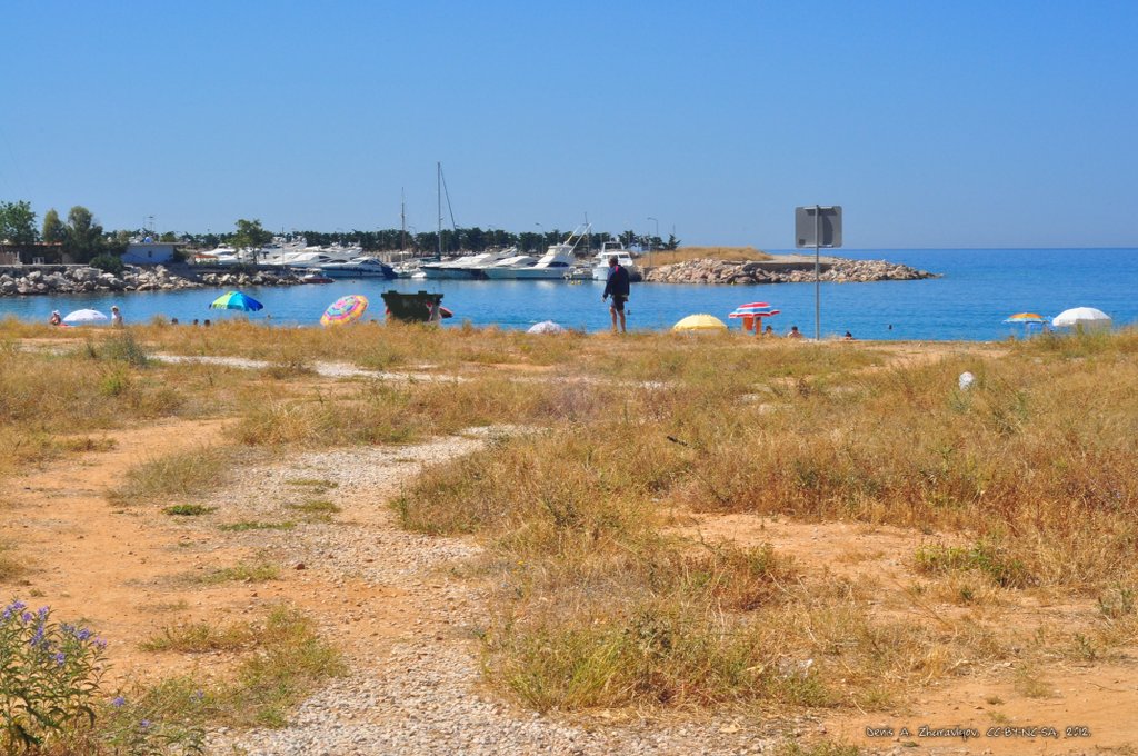 Image 1044_2012-06-12_14-50_D90.jpg