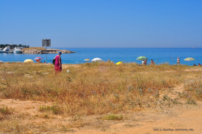 Image 1045_2012-06-12_14-51_D90.jpg