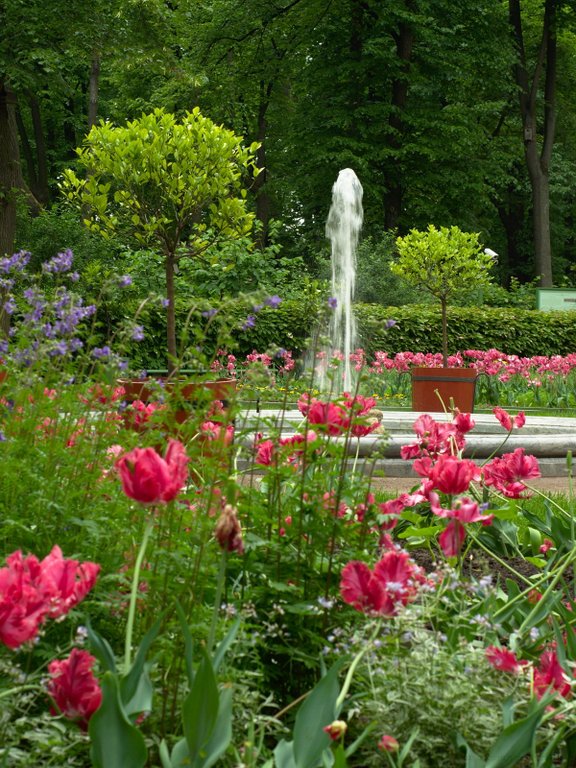 Image _DSC0805_ready.jpg