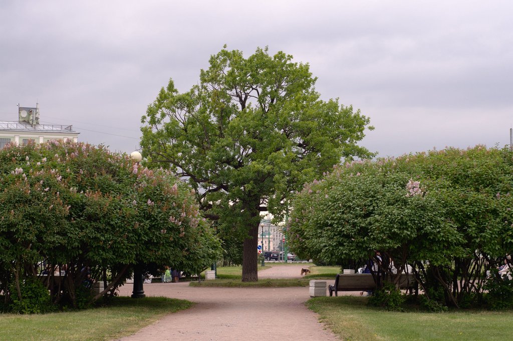 Image _DSC0815_ready.jpg