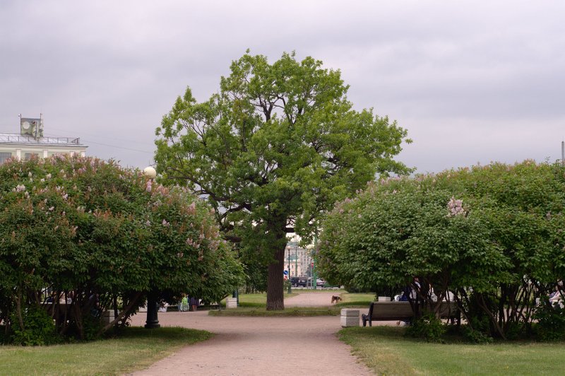 Image _DSC0815_ready.jpg