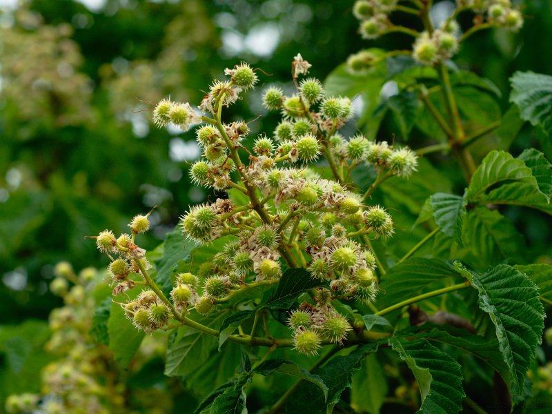 Image _DSC0825_ready.jpg