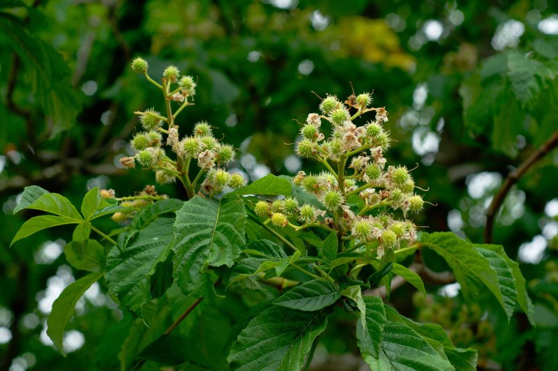 Image _DSC0828_ready.jpg