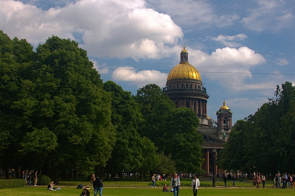 Image _DSC0878_ready.jpg