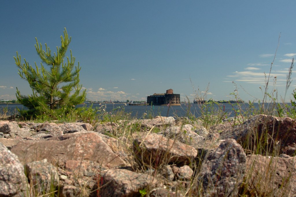 Image _DSC0954_ready.jpg