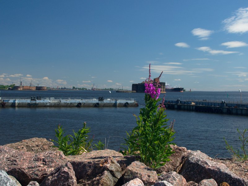 Image _DSC0960_ready.jpg